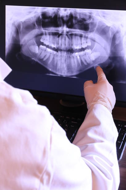 Best Emergency X-Rays and Diagnostics in Mathis, TX